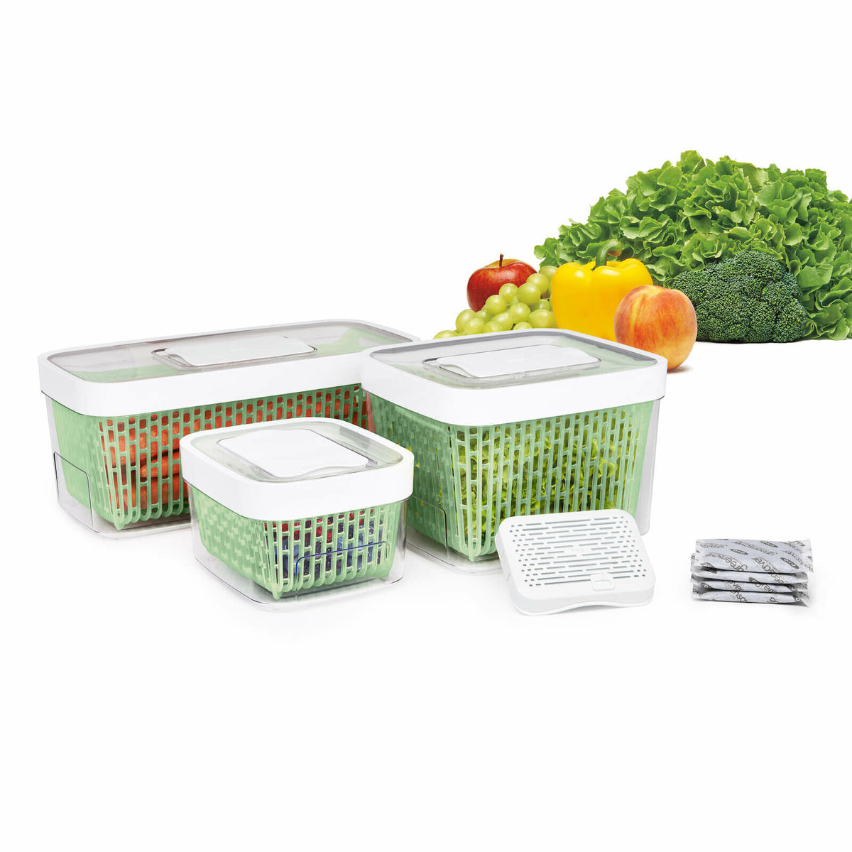 greensaver-produce-keeper-4-3-qt-q2 gg_11140000_1b_1_.jpg