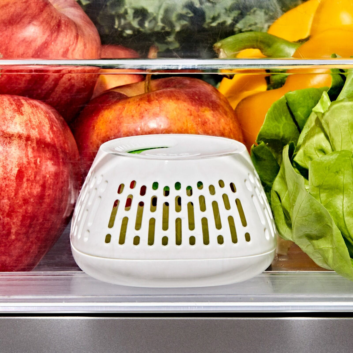 produce-saver-crisper-drawer-insert-2-pack-a7 gg_11427700_greensaver-crisper-drawer-insert_pdp_02.jpeg