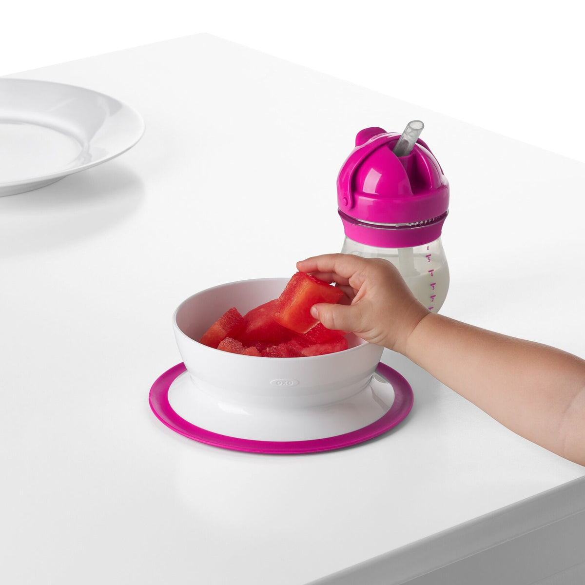 stick-and-stay-suction-bowl-l2 tot_61120500_4i.jpg