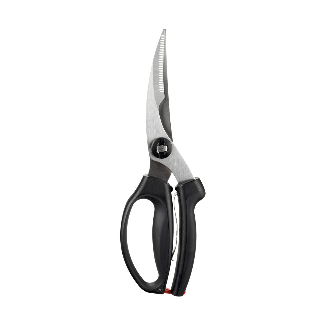 poultry-shears-z5 1072292V3.jpg