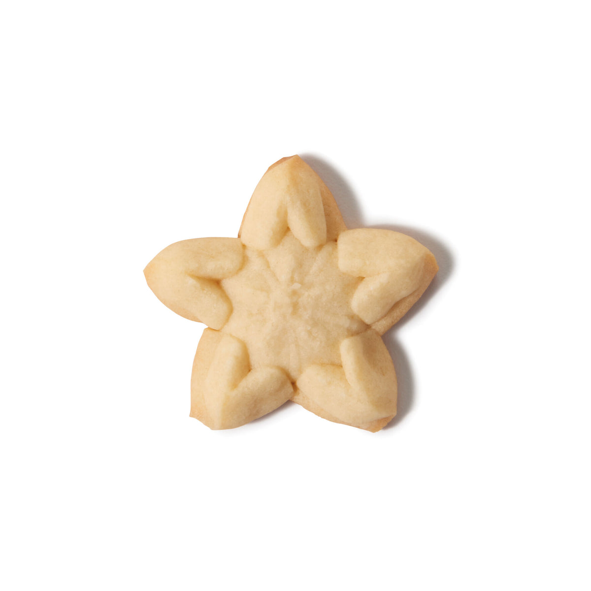 christmas-cookie-press-disk-set-j2 11177800_6_-star.jpg