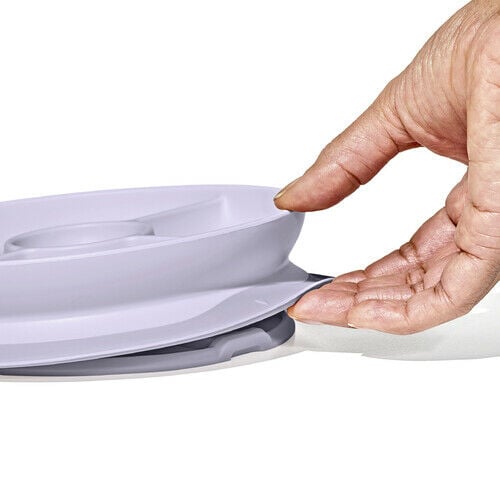 stick-and-stay-suction-divided-plate-w4 1134515a-7af7-4d77-8ad1-4534fbb13d49.jpg