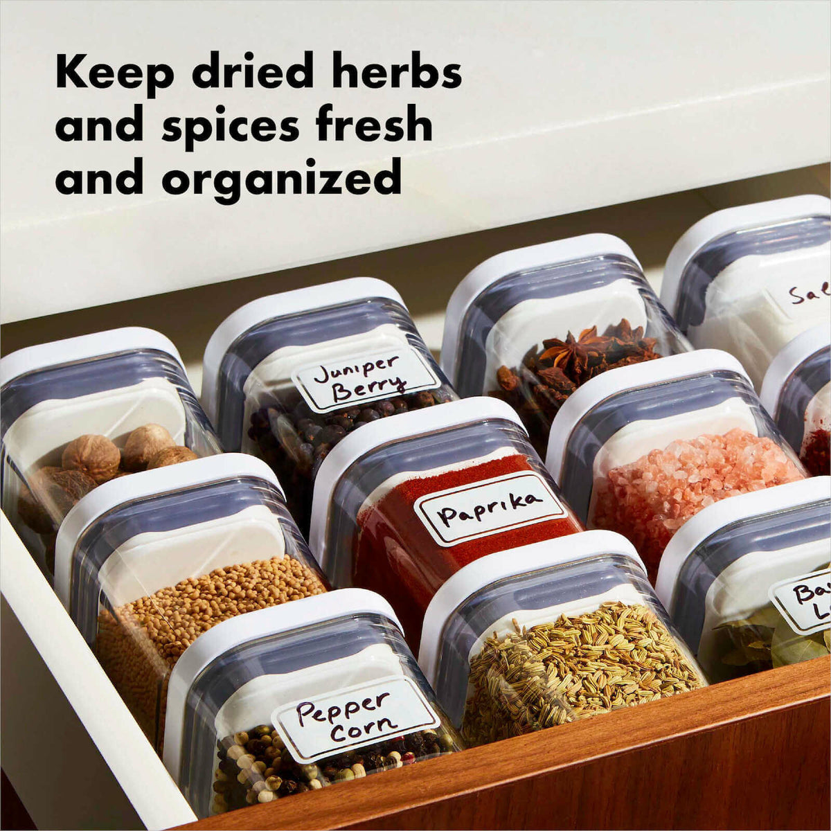 pop-4-piece-mini-container-set-v0 4_pieceaplusartboard_1-100_1_1_.jpg