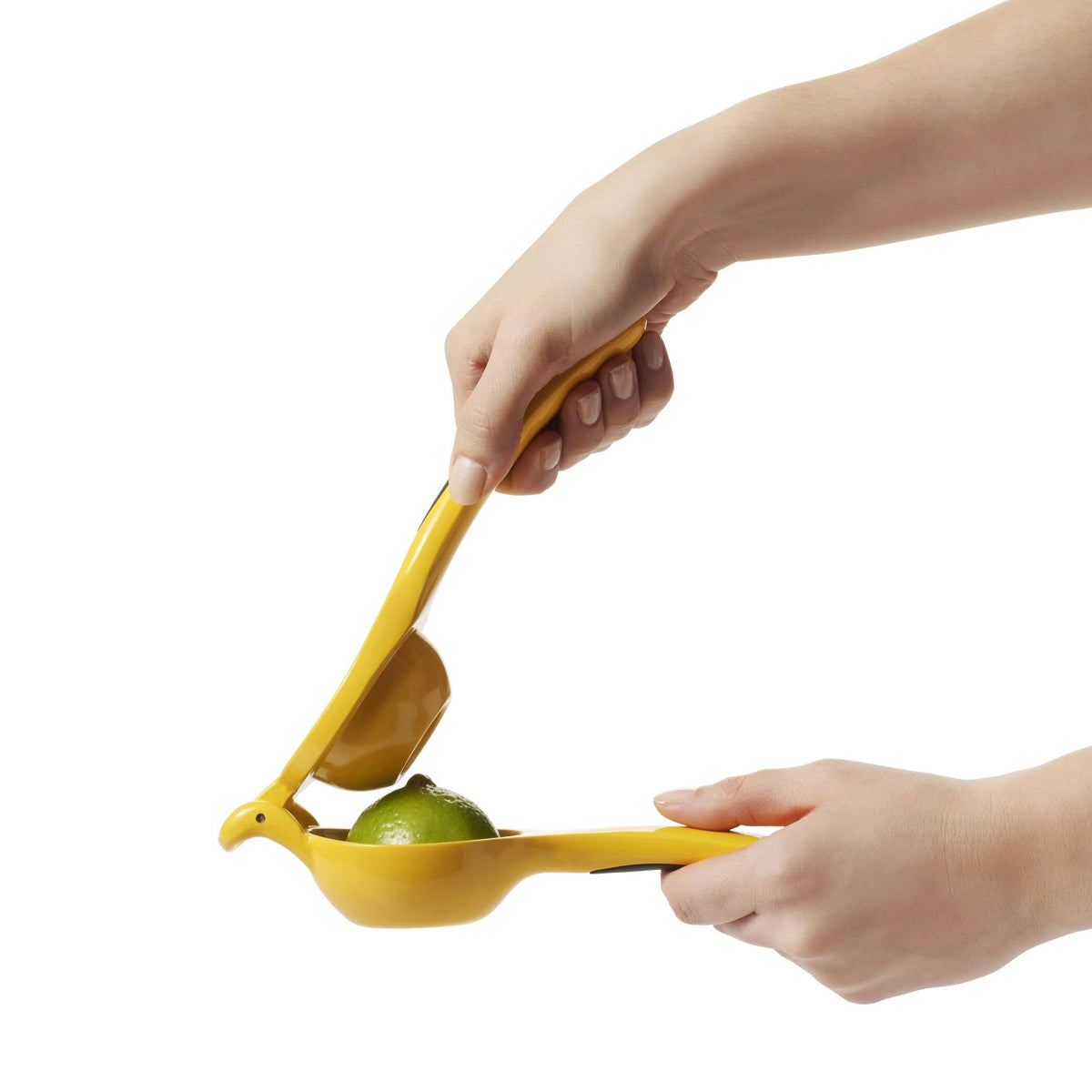 citrus-squeezer-p2 gg_1057962_4a.jpg