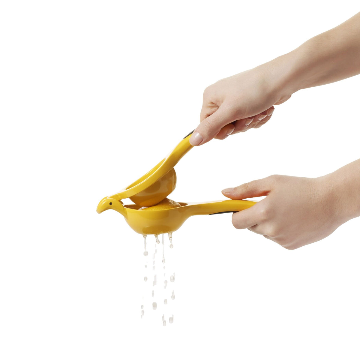 citrus-squeezer-p2 gg_1057962_4b.jpg