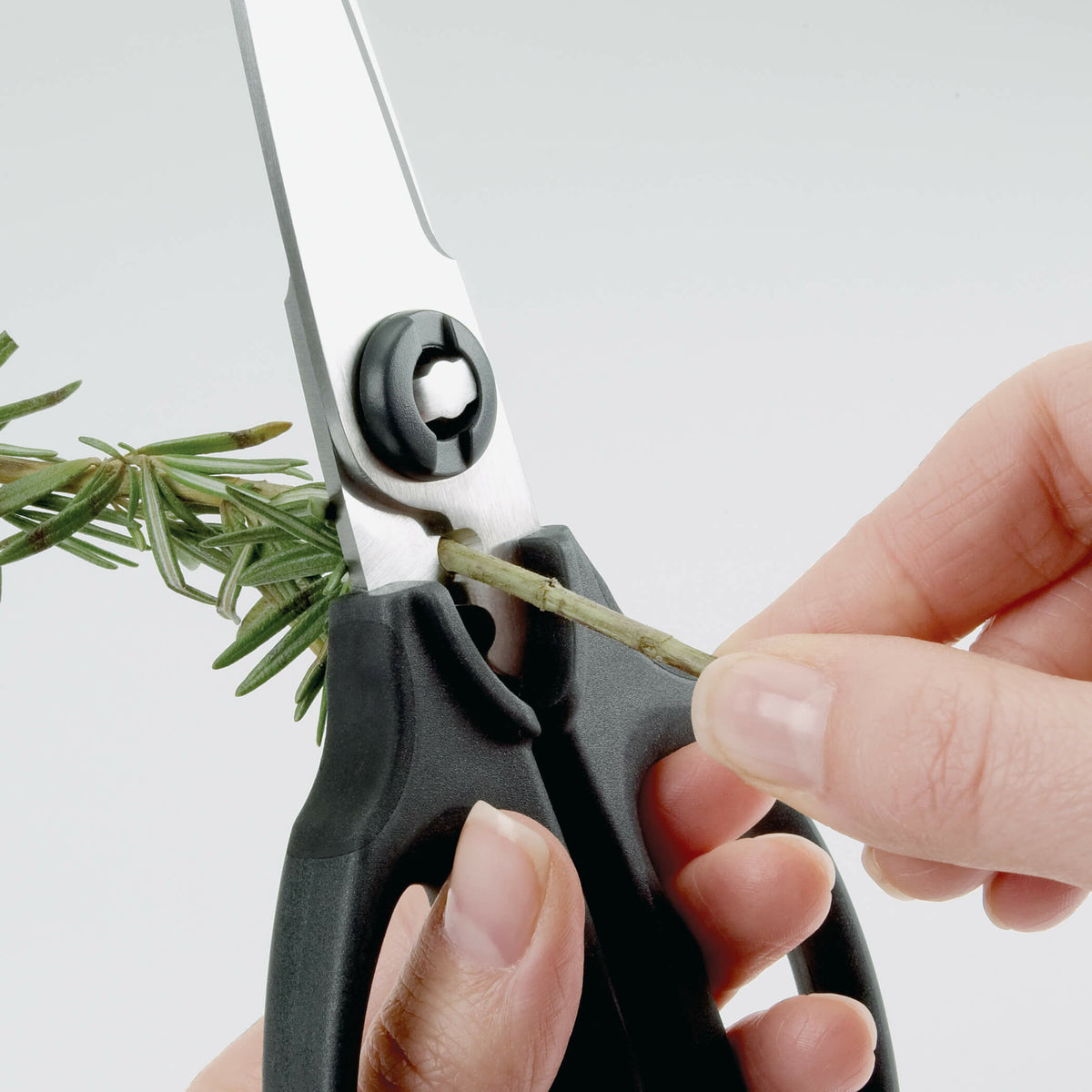 kitchen-and-herb-scissors-y1 gg_1072121_3_1_.jpg