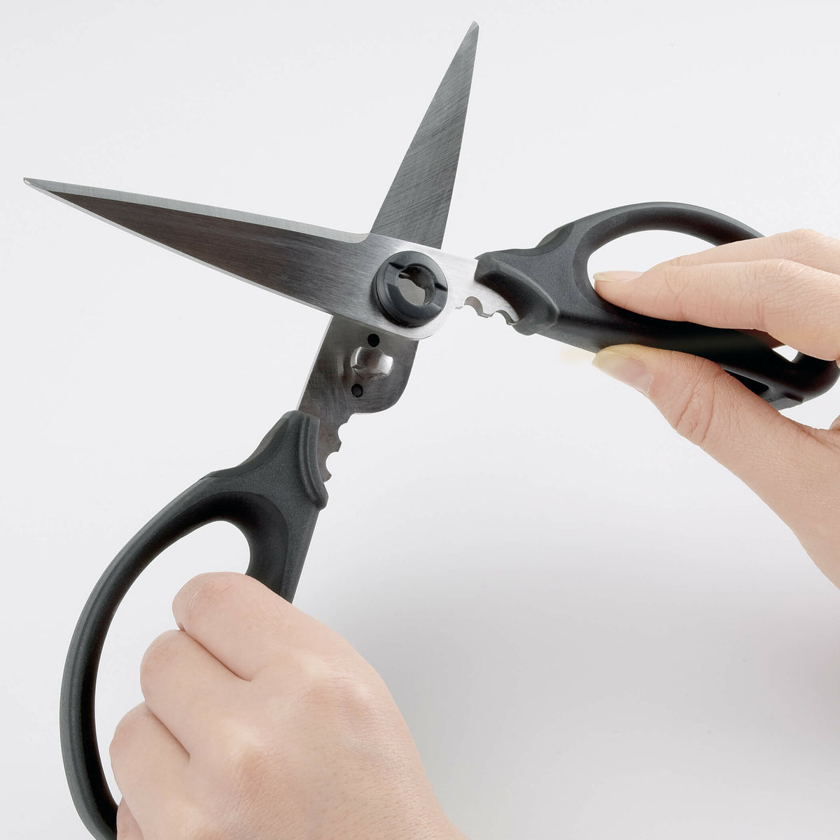 kitchen-and-herb-scissors-y1 gg_1072121_4_1_.jpg