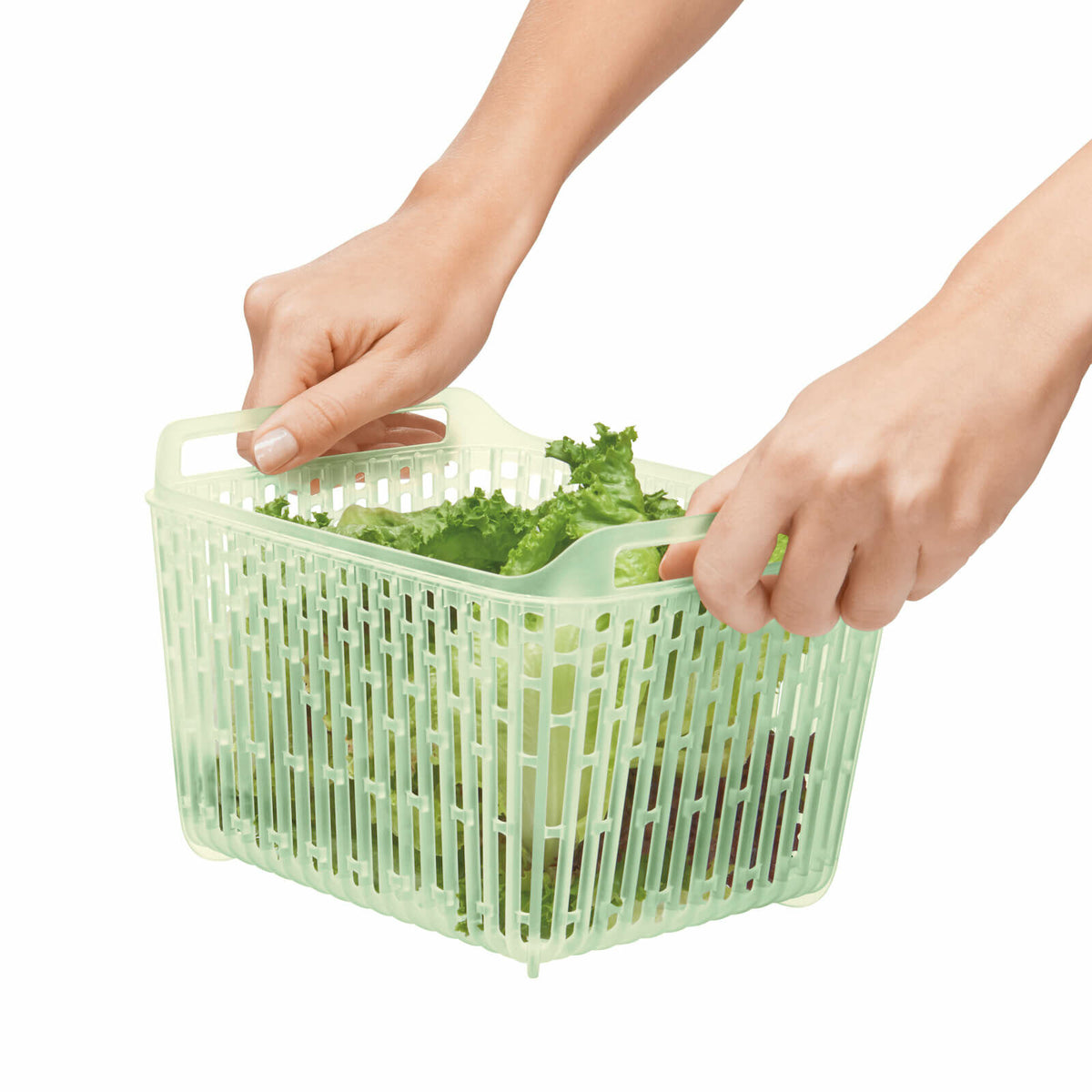 greensaver-produce-keeper-4-3-qt-q2 gg_11140000_4c_1_.jpg