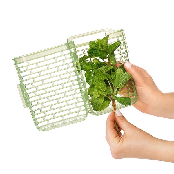greensaver-herb-keeper-small-b8 gg_11212200_4.jpg