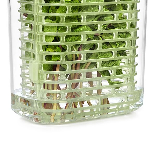 greensaver-herb-keeper-small-b8 gg_11212200_7.jpg