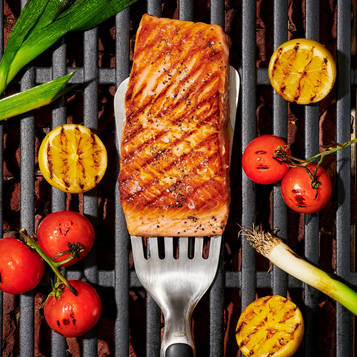 grilling-precision-turner-s1 gg_11309200_052020_11_rgb_1_.jpg