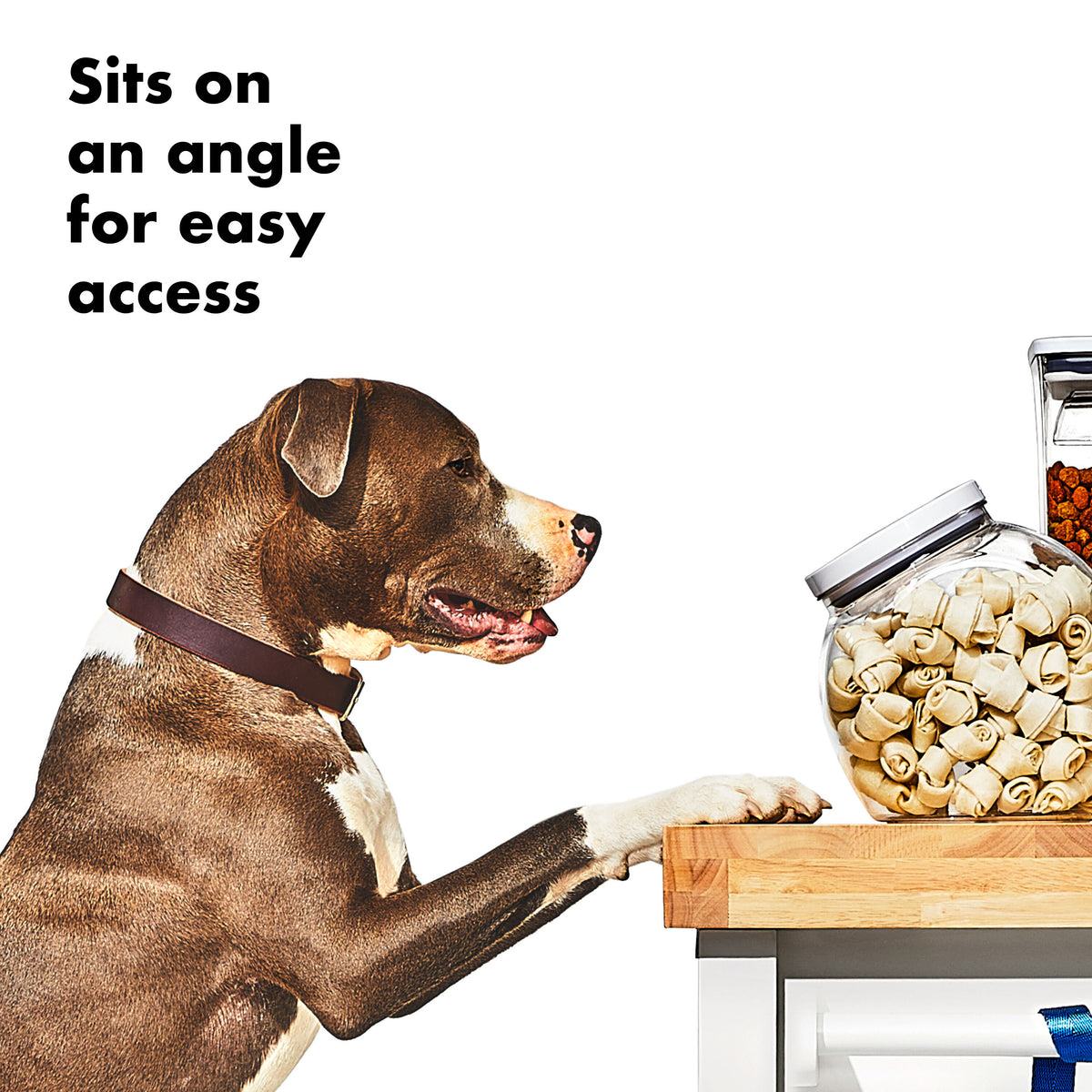 oxo-good-grips-pet-pop-container-3-0-qt-2-8-l-h0 gg_11332400_8b.jpg
