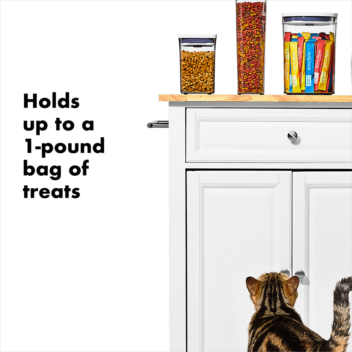 oxo-good-grips-pet-pop-container-1-1-qt-1-l-d0 gg_11332600_8.jpg