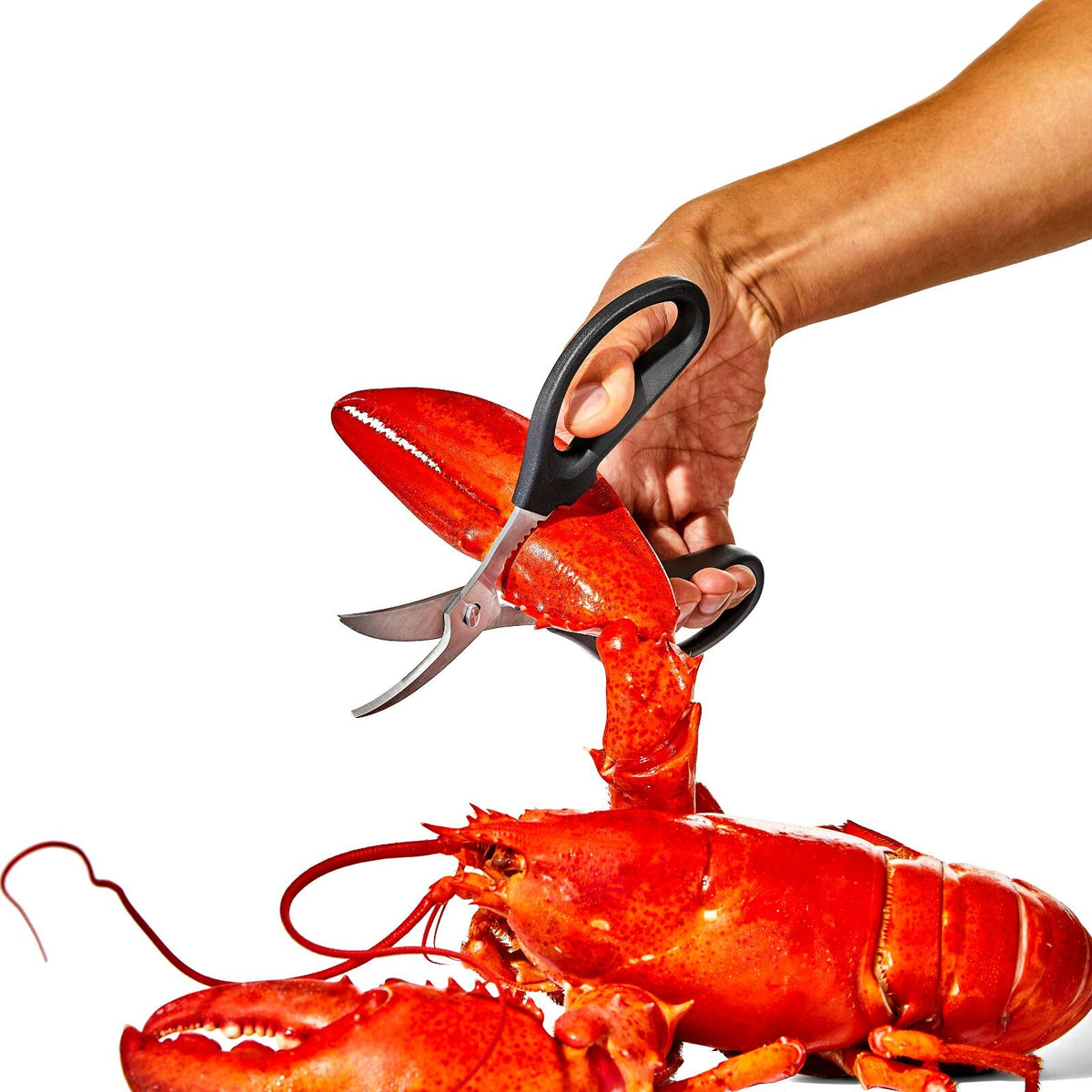 seafood-scissors-i1 gg_11350600_seafoodscissors_03_p.jpg