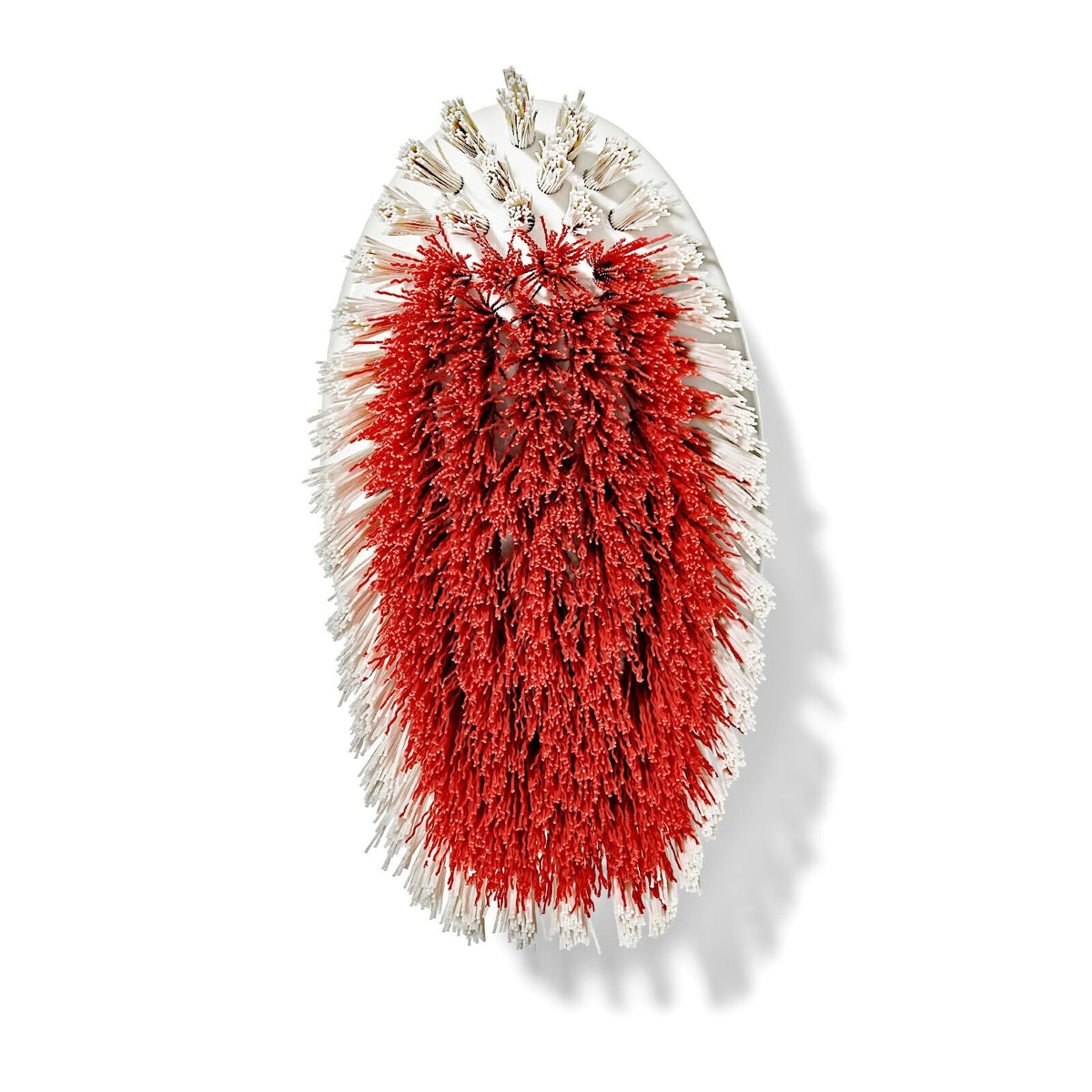 all-purpose-scrub-brush-2-pack-a4 gg_12426000_scrub-brush-2-pack_pdp_07.jpeg
