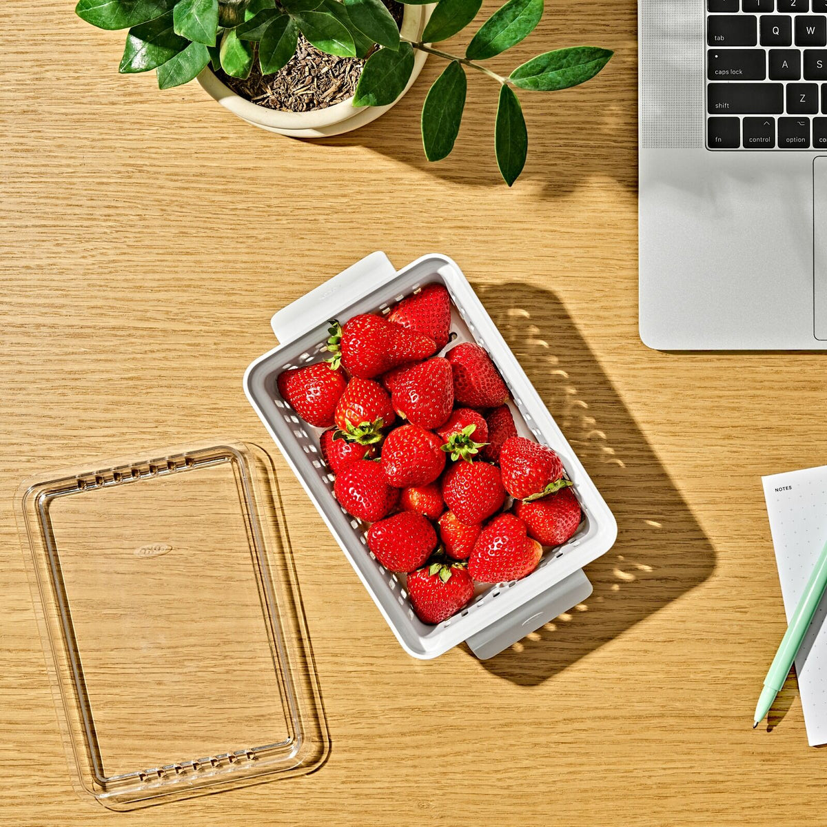 produce-saver-berry-keeper-2-piece-set-b6 gg_berry-keeper-produce-saver_pdp_01_1_.jpg
