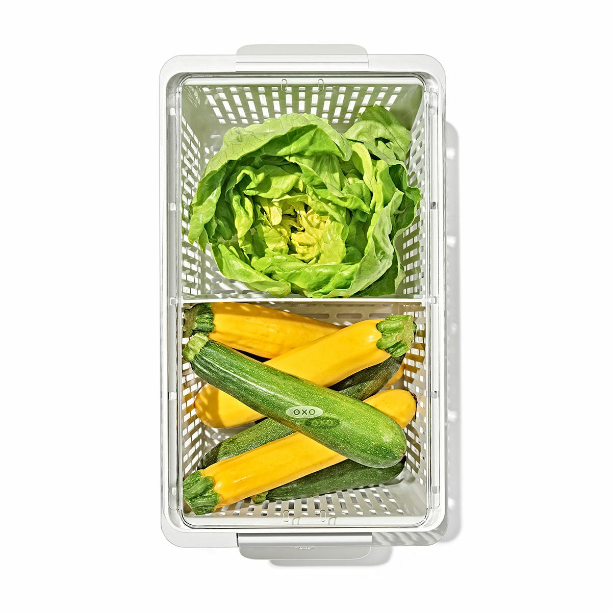 produce-saver-large-bin-l6 gg_sw_produce-saver-large_02.jpg