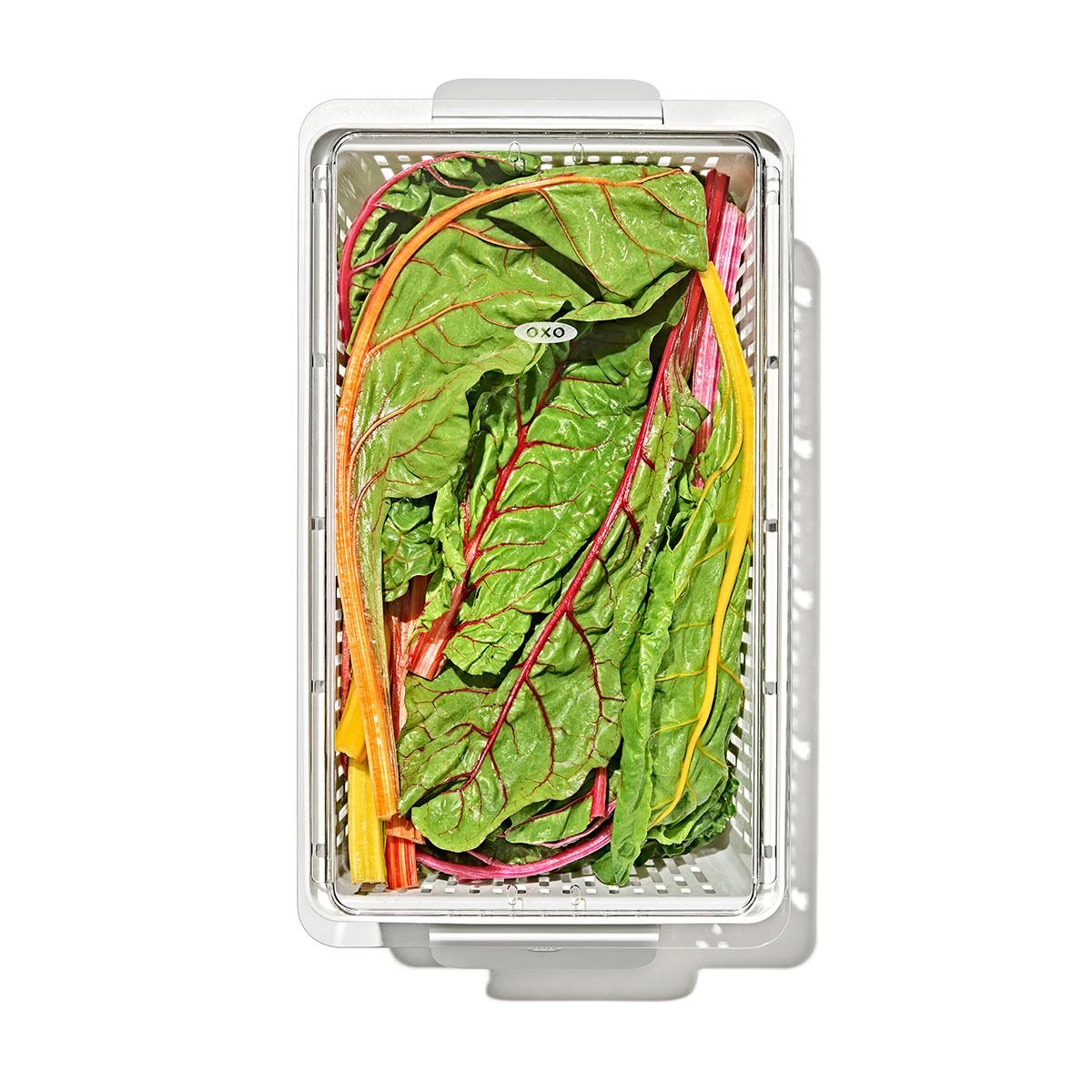 produce-saver-large-bin-l6 gg_sw_produce-saver-large_10.jpg