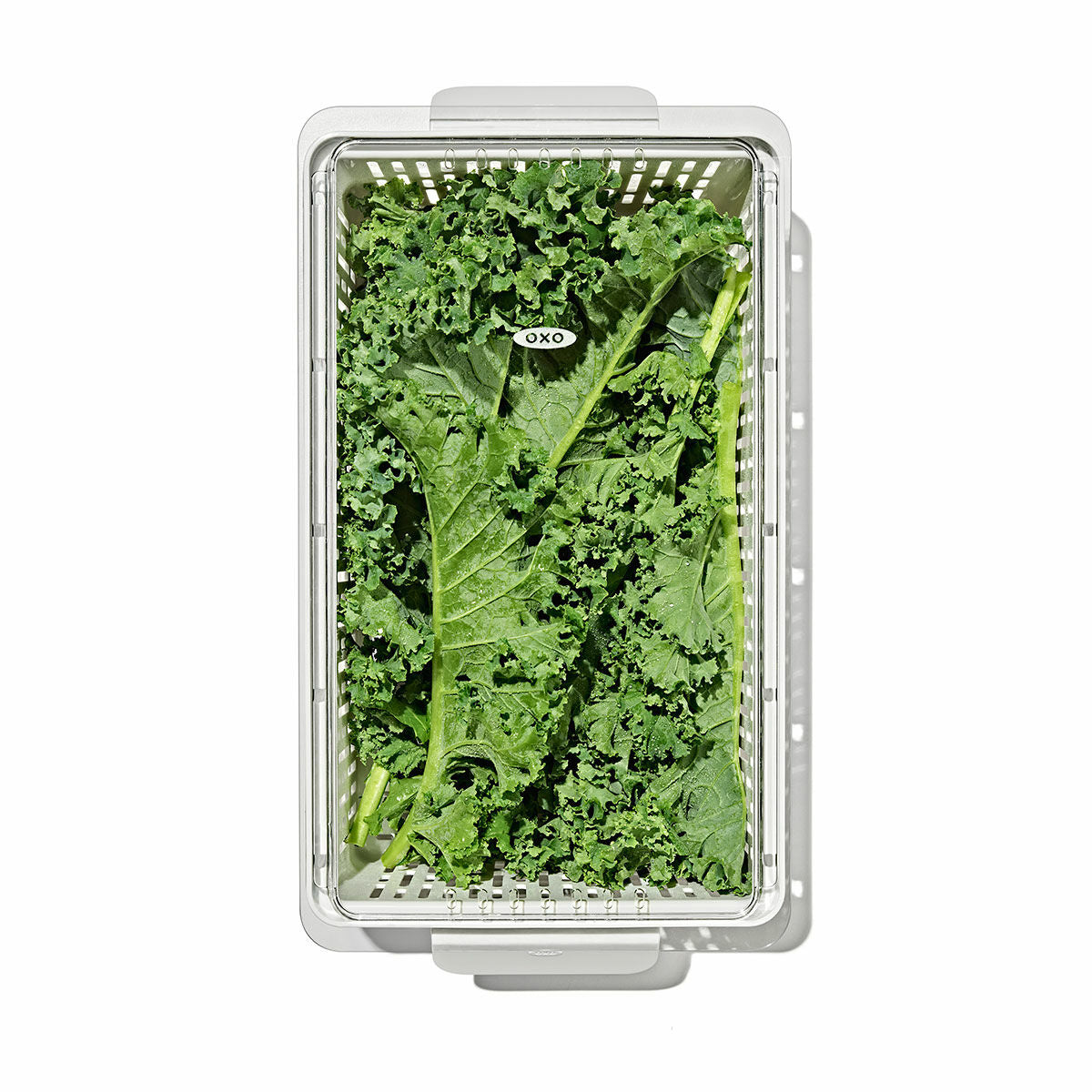 produce-saver-medium-bin-e9 gg_sw_produce-saver-medium_05.jpg