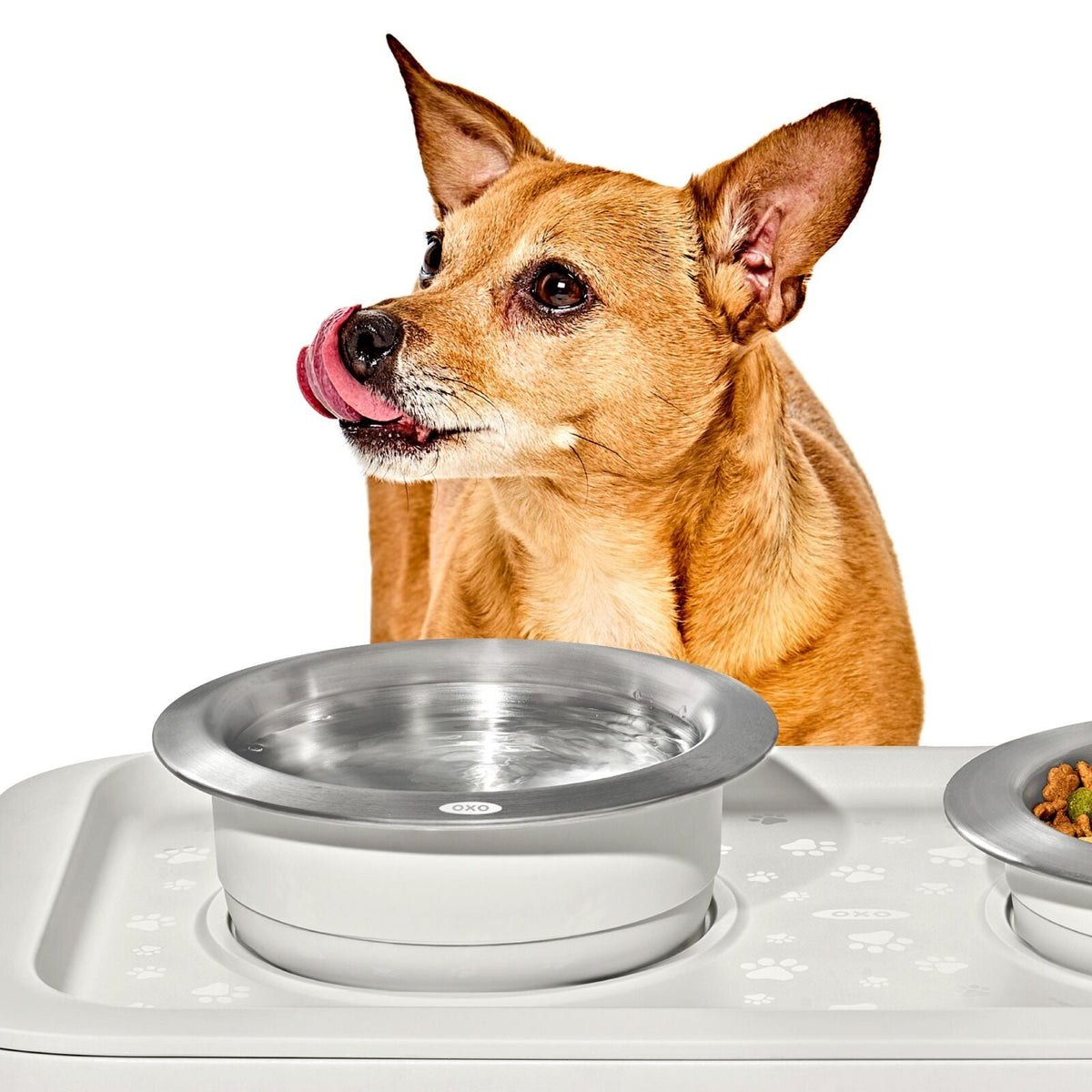 oxo-pet-nonslip-bowl-medium-2-cups-480-ml-g0 pet_7101900_nonslip-medium-bowl_pdp_02.jpeg