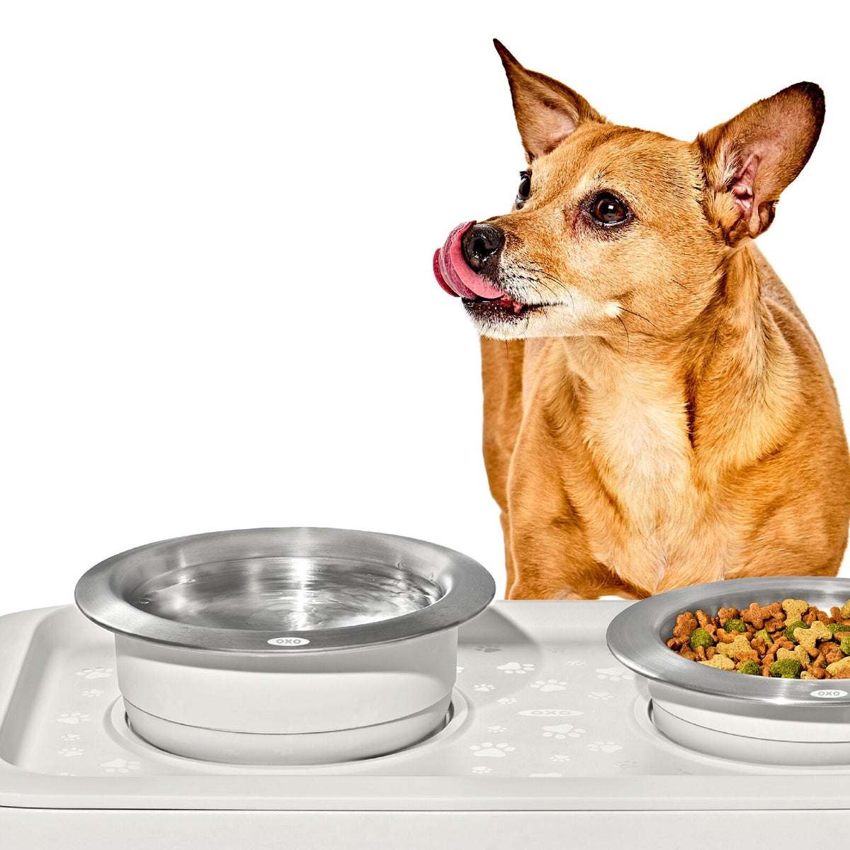 oxo-pet-nonslip-bowl-large-4-cups-950-ml-x0 pet_7102000_nonslip-large-bowl_pdp_02.jpeg