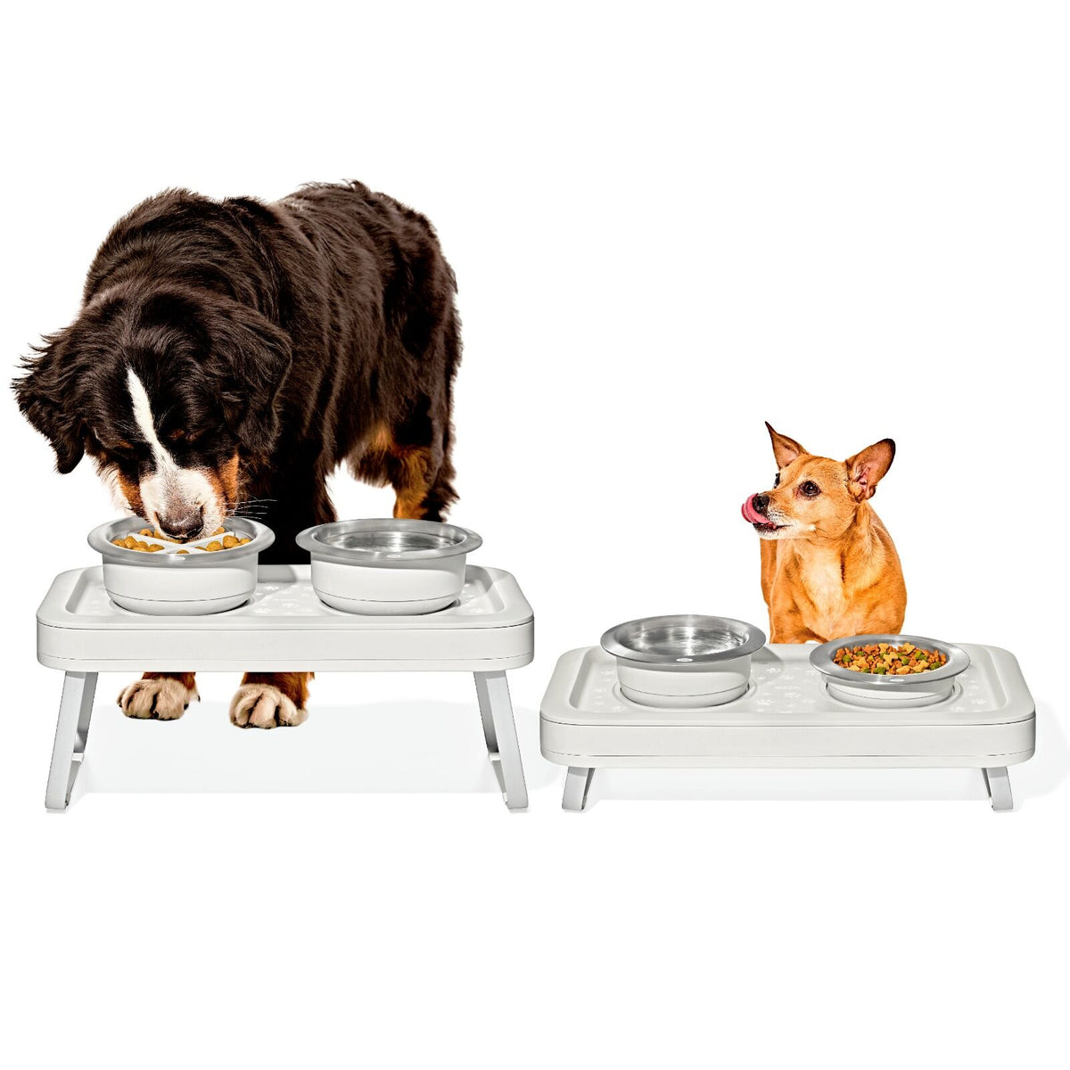 oxo-pet-adjustable-elevated-feeder-p2 pet_7102300_elevated-feeder_pdp_01.jpeg