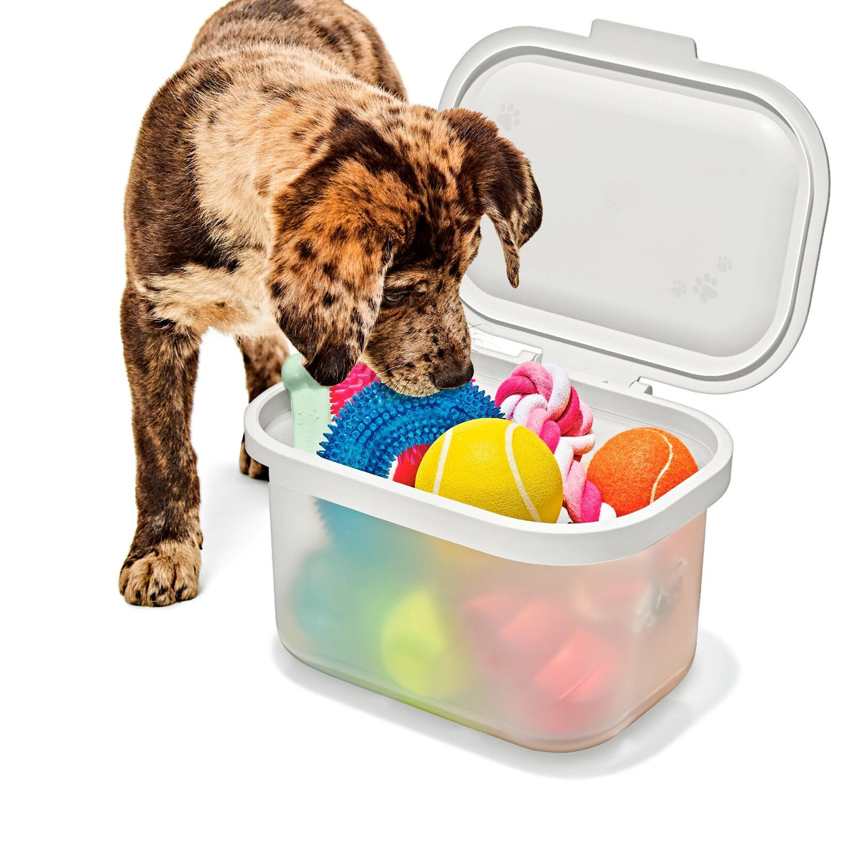oxo-pet-multi-purpose-container-p5 pet_7301300_multi-purpose-container_pdp_06.jpeg