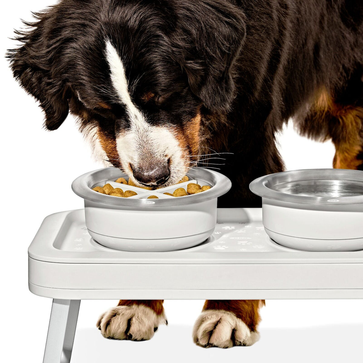 oxo-pet-easy-clean-slow-feeder-medium-2-cups-489-ml-i1 pet_slow-feeder-medium-large_pdp_02_1.jpeg