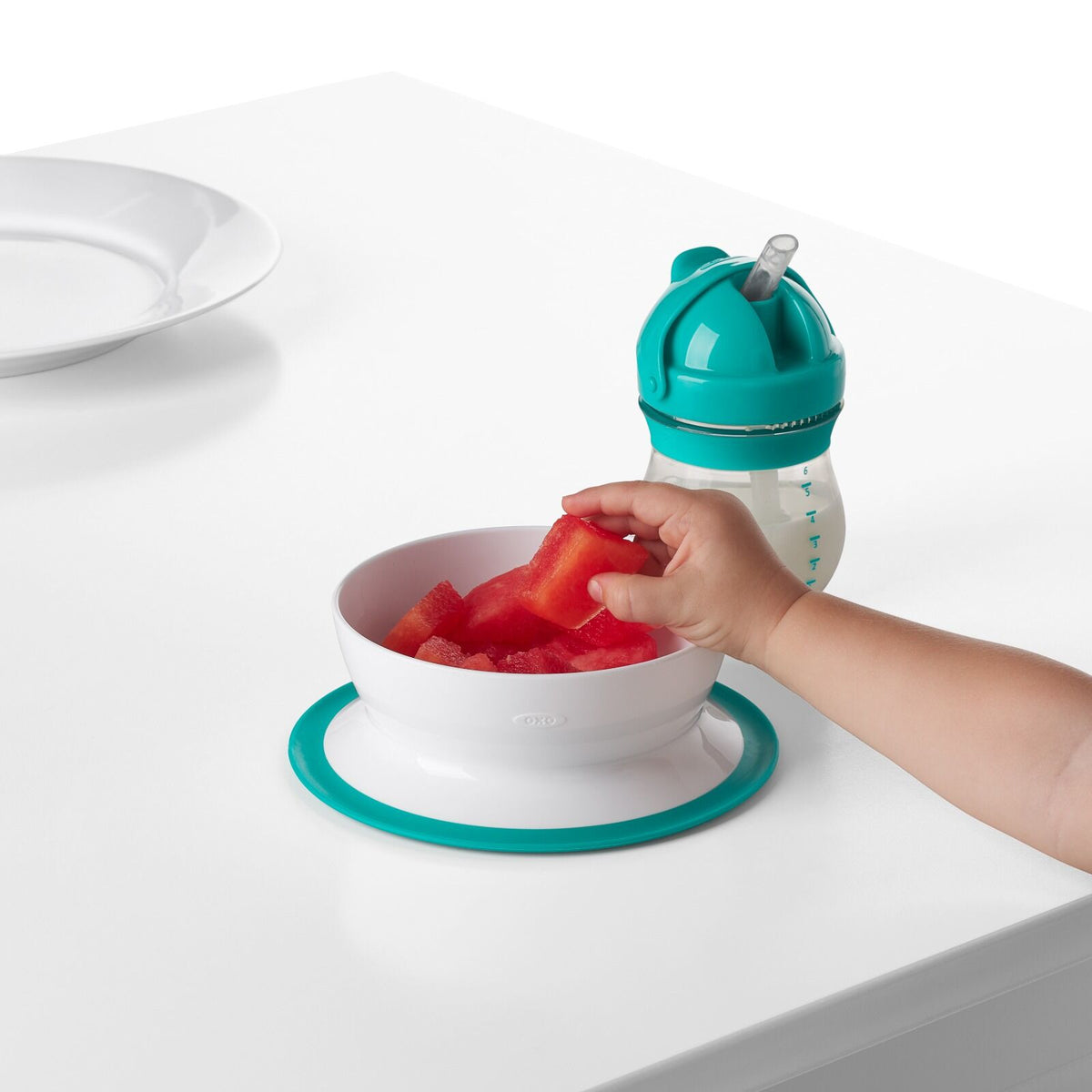 stick-and-stay-suction-bowl-m1 tot_61120600_4i.jpg