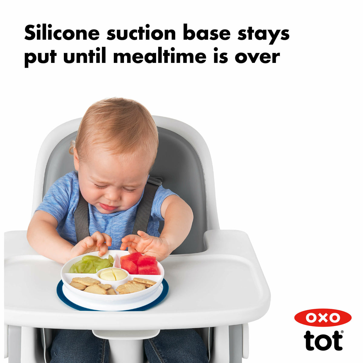 stick-and-stay-suction-divided-plate-q1 tot_61121100_8d_1_.jpg